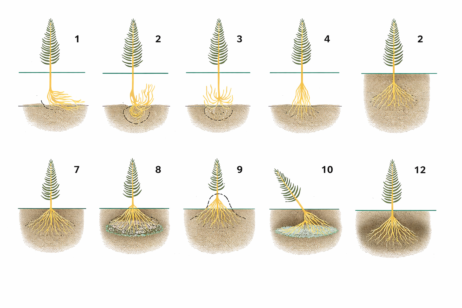 ChatGPT Image 2026. jan. 4. 13_00_33